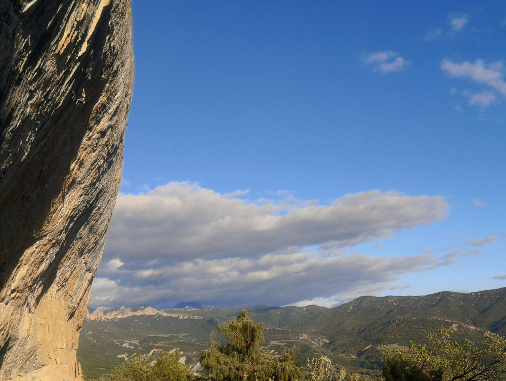 Janja Garnbret Fish Eye