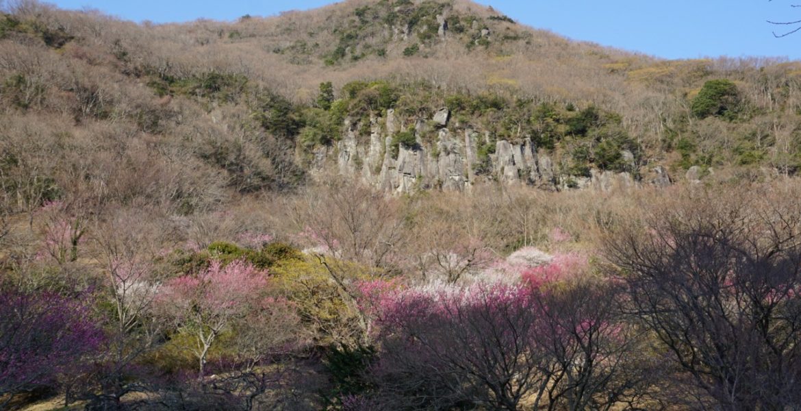 Yugawara, une falaise aux portes de Tokyo – Yugawara, a crag on Tokyo’s doorstep