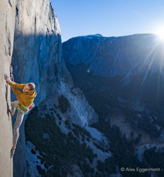 dawn wall