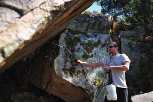 Bristof Clean-up