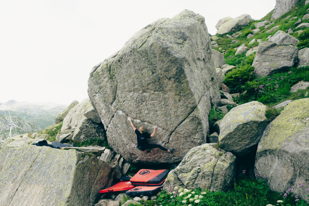 Hazel Grace 8B+ - Lucia Dörffel