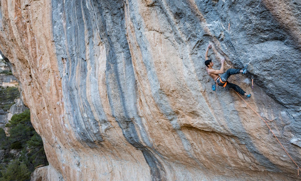 Jorge Video Sleeping Lion