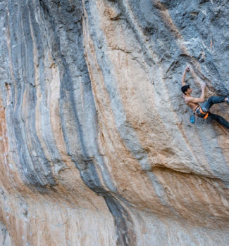 Jorge Video Sleeping Lion