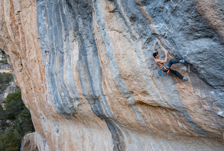 Jorge Video Sleeping Lion