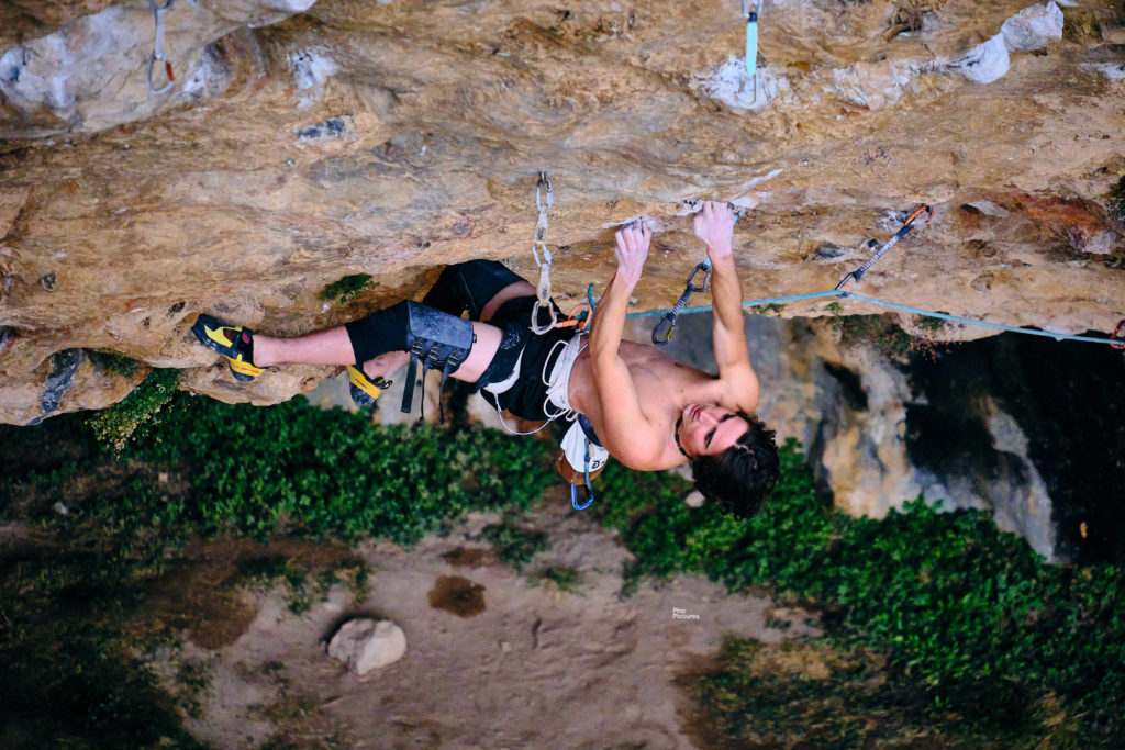 Andrea Chelleris - Fabela pa la enmienda