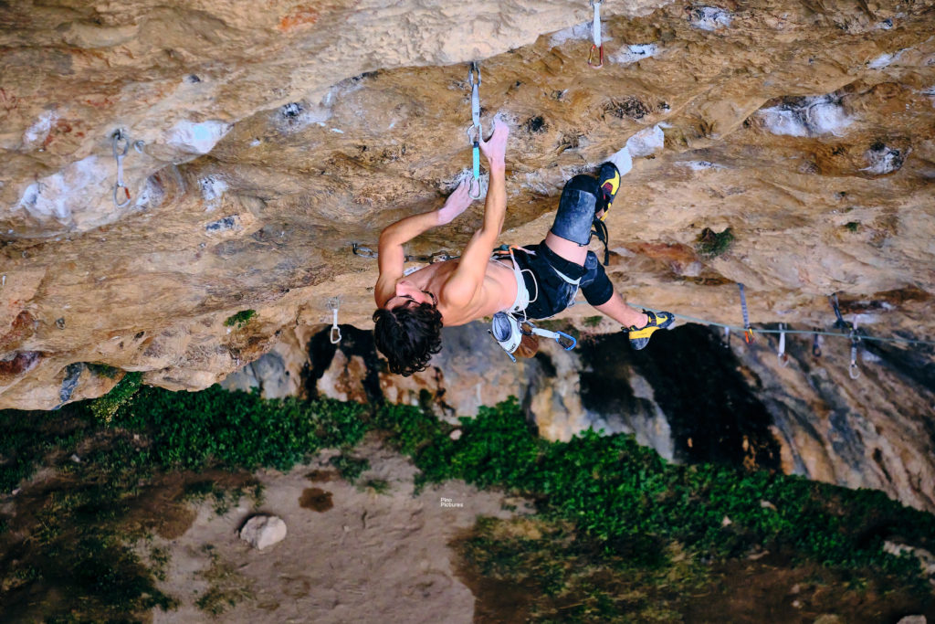 Andrea Chelleris Fabela pa la enmienda