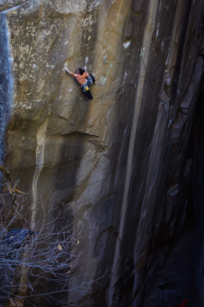 Esteban Daligault Bon Voyage