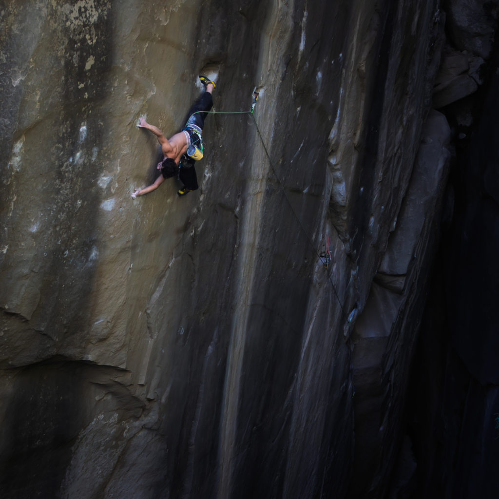 Esteban Daligault Bon Voyage