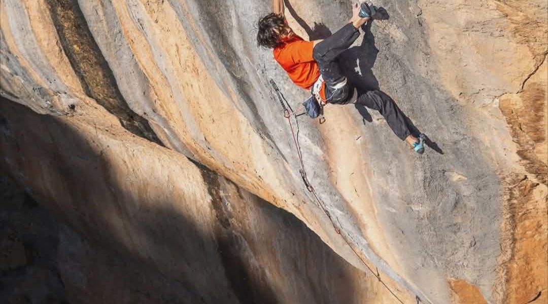 Sachi Amma Sleeping Lion