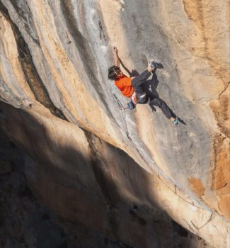 Sachi Amma Sleeping Lion