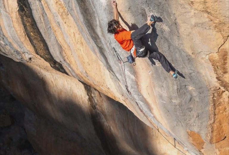 Sachi Amma Sleeping Lion