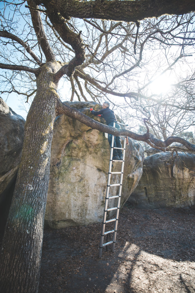 Flash ladder brush de Carnage