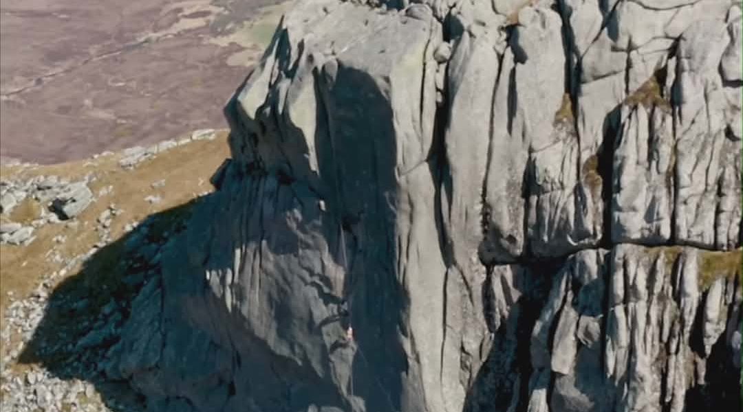 Cookson Ben Loyal