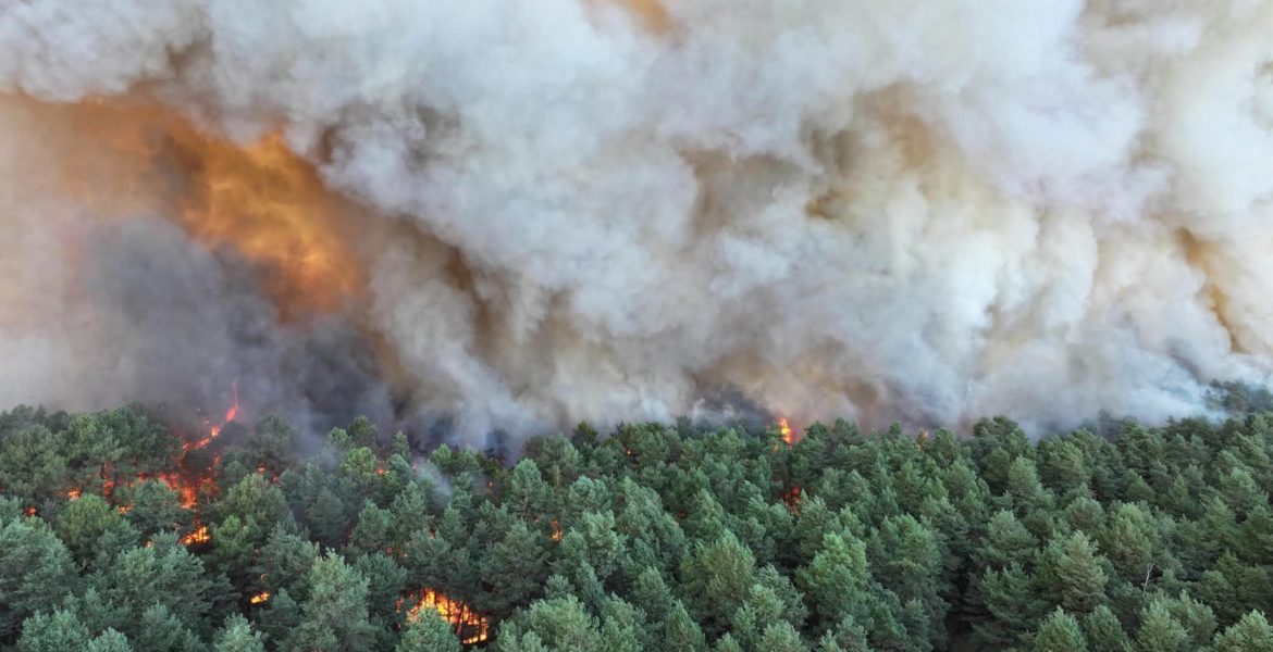 Bleau incendie