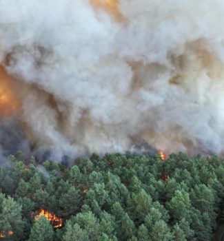 Bleau incendie