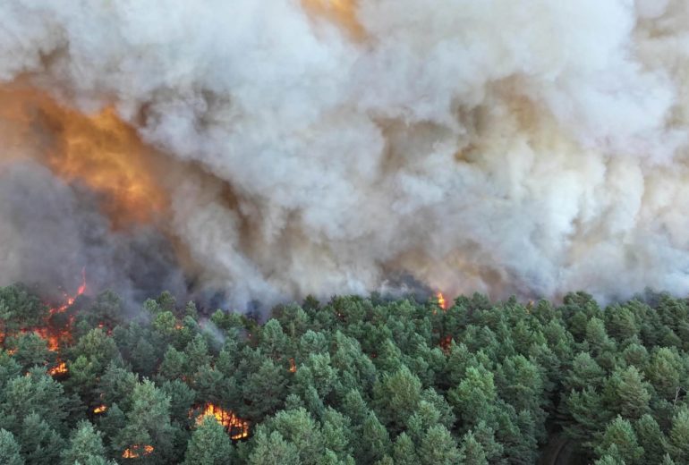 Bleau incendie
